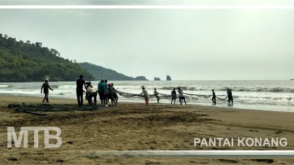 Menikmati Sensasi Jaring Tarik di Pantai Konang Trenggalek