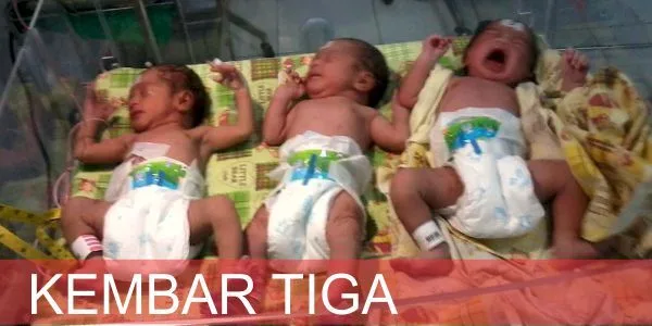 LANGKA: Telah Lahir Bayi Kembar 3 Di Trenggalek