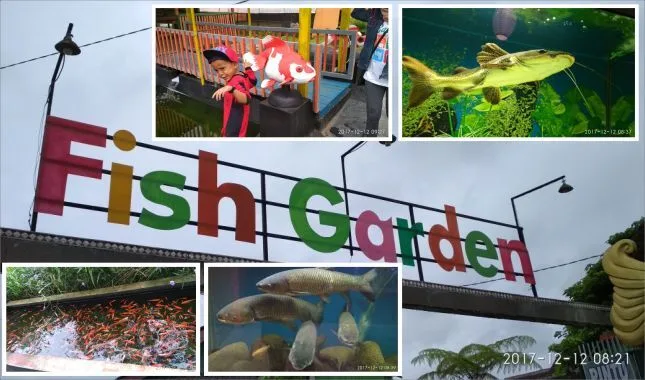 Berkunjung ke Fish Garden Blitar