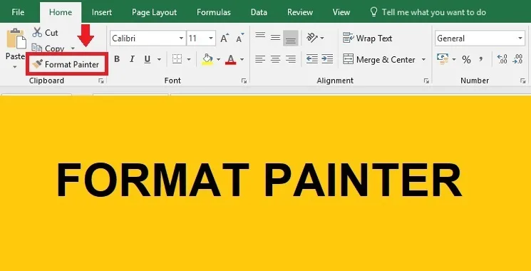 Fungsi Tombol Format Painter di Excel dan Word