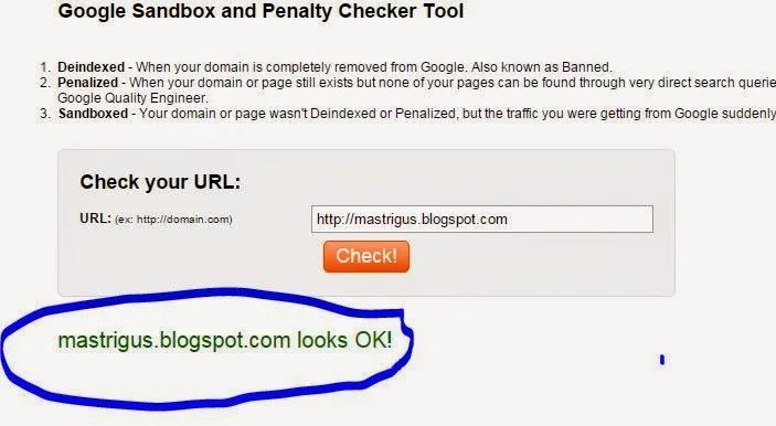 Mas Trigus Blog Berhasil Lepas Dari Google Sandbox Dalam 1 Hari