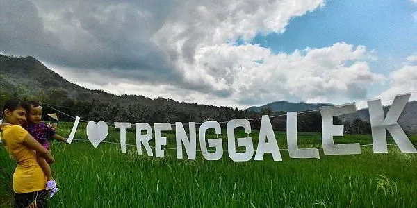 Yuk Nulis Tentang Trenggalek di mastrigus.com