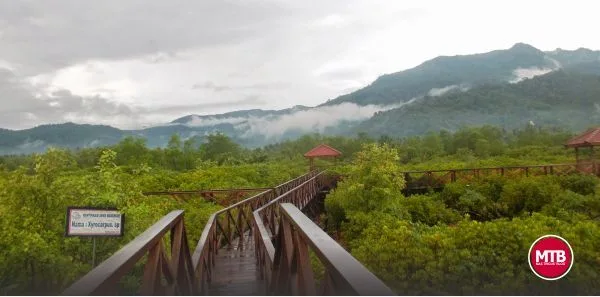 My Trip in Jembatan Galau - Mangrovenya Trenggalek