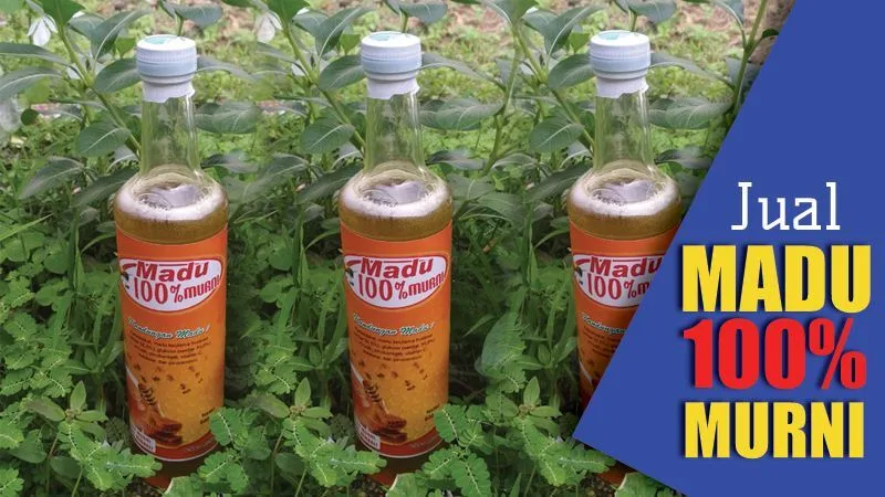 Jual Madu Lebah 100% Murni Area Jawa Timur dan Sekitarnya