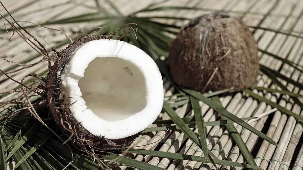 Manfaat Air Kelapa untuk Kesehatan di Masa Pandemi Covid-19