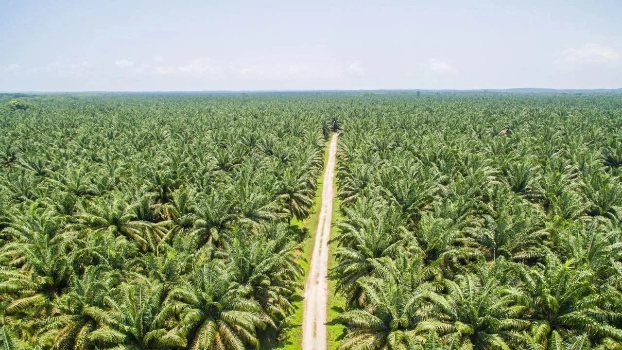 Kutukan Sumber Daya Alam dan Konflik Agraria di Indonesia