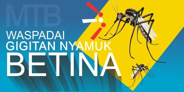 AWAS! Waspadai Gigitan Nyamuk Betina, Akibatnya Bisa Fatal