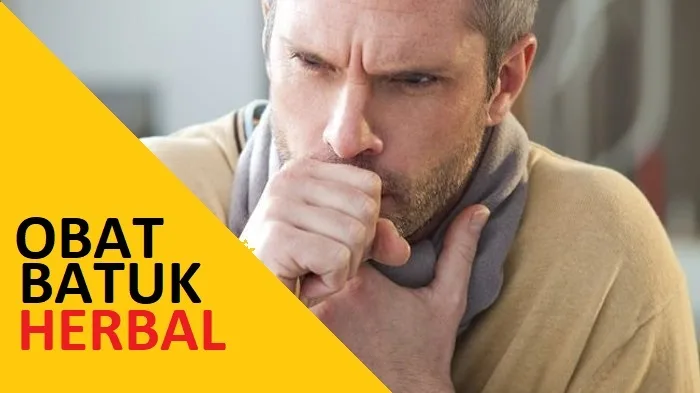Obat Batuk Herbal Ampuh Untuk Orang Dewasa