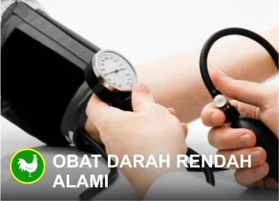 Mengobati Darah Rendah dengan Bahan Alami