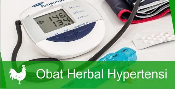 Obat Herbal Ampuh Mengatasi Hipertensi (Darah Tinggi)