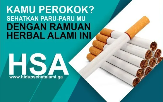 Kamu Pecandu Rokok? Sehatkan Paru-Paru Mu Dengan Obat Herbal Alami ini