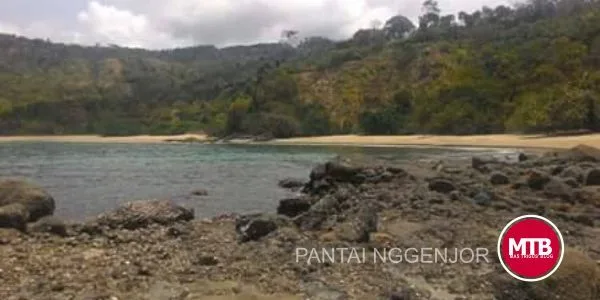 Pantai Nggenjor Trenggalek, Surganya Karang Beno