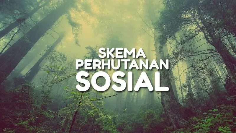 Skema Perhutanan Sosial
