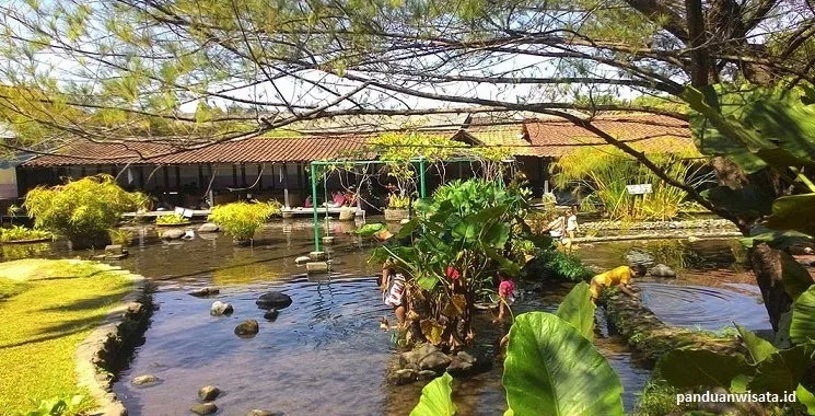 Paket Liburan Menarik ke Taman Air Tlatar Boyolali Rental Mobil Solo IxoTransport