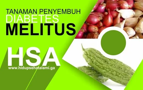 Tanaman yang Dapat Menyembuhkan Penyakit Diabetes Melitus