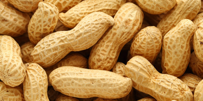 Cara Makan Kacang yang Benar
